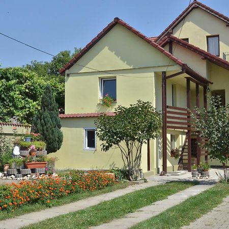 فندق Vila Bel Ami Şelimbăr الغرفة الصورة