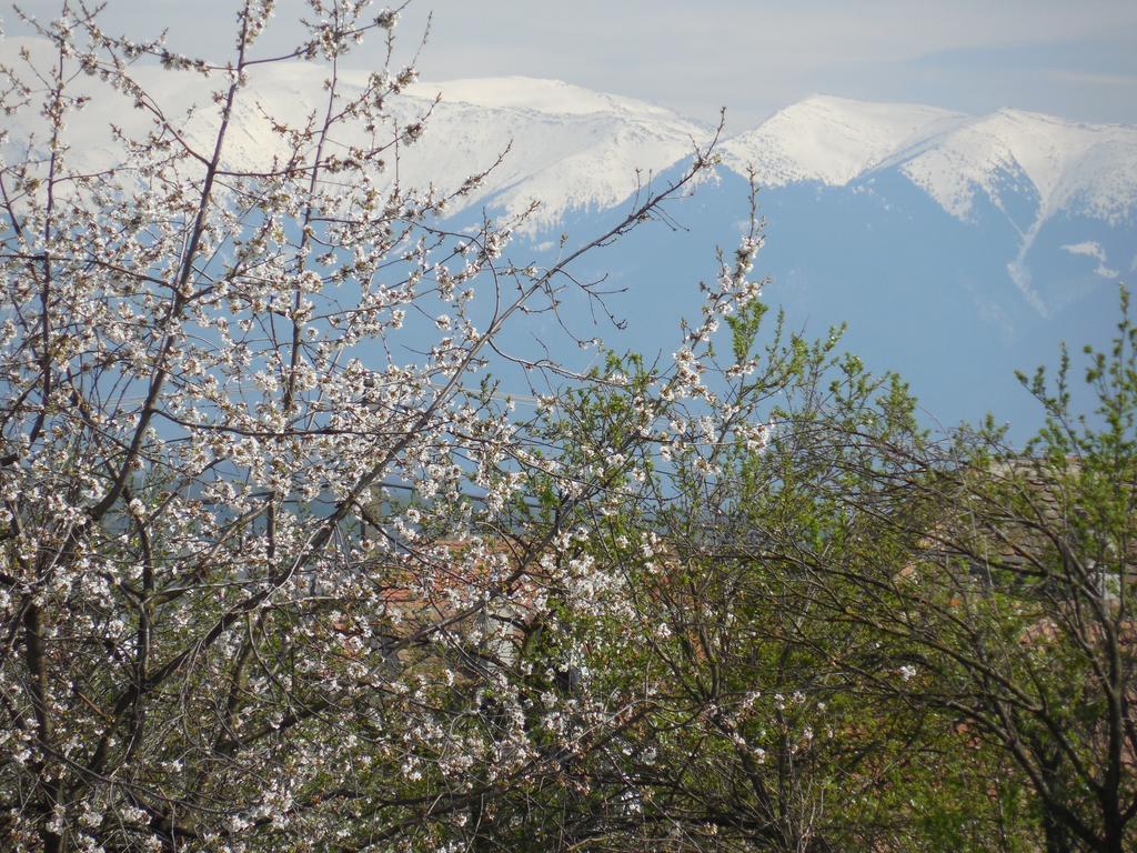 فندق Vila Bel Ami Şelimbăr الغرفة الصورة