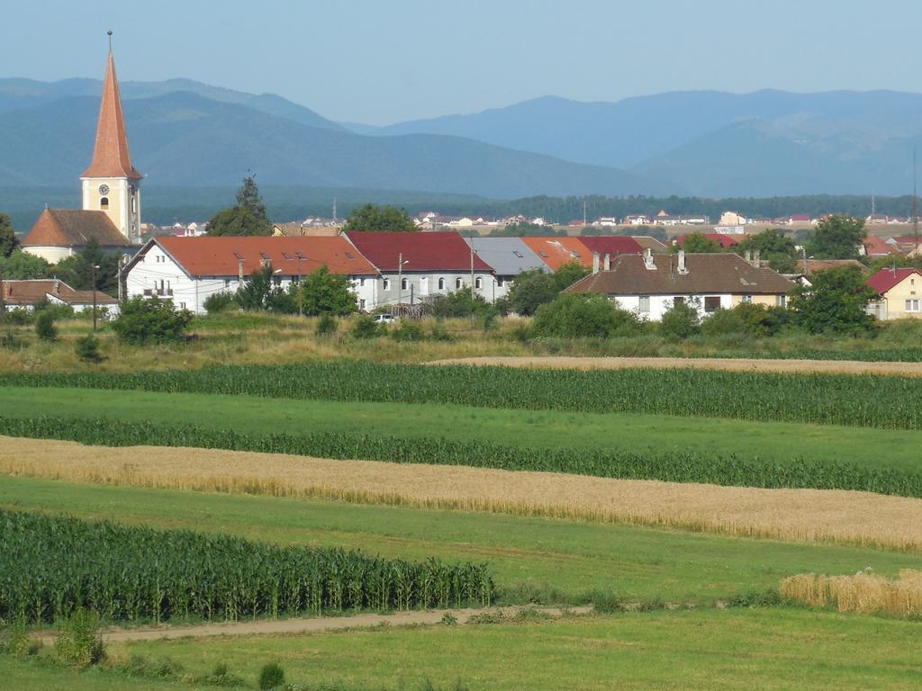 فندق Vila Bel Ami Şelimbăr الغرفة الصورة